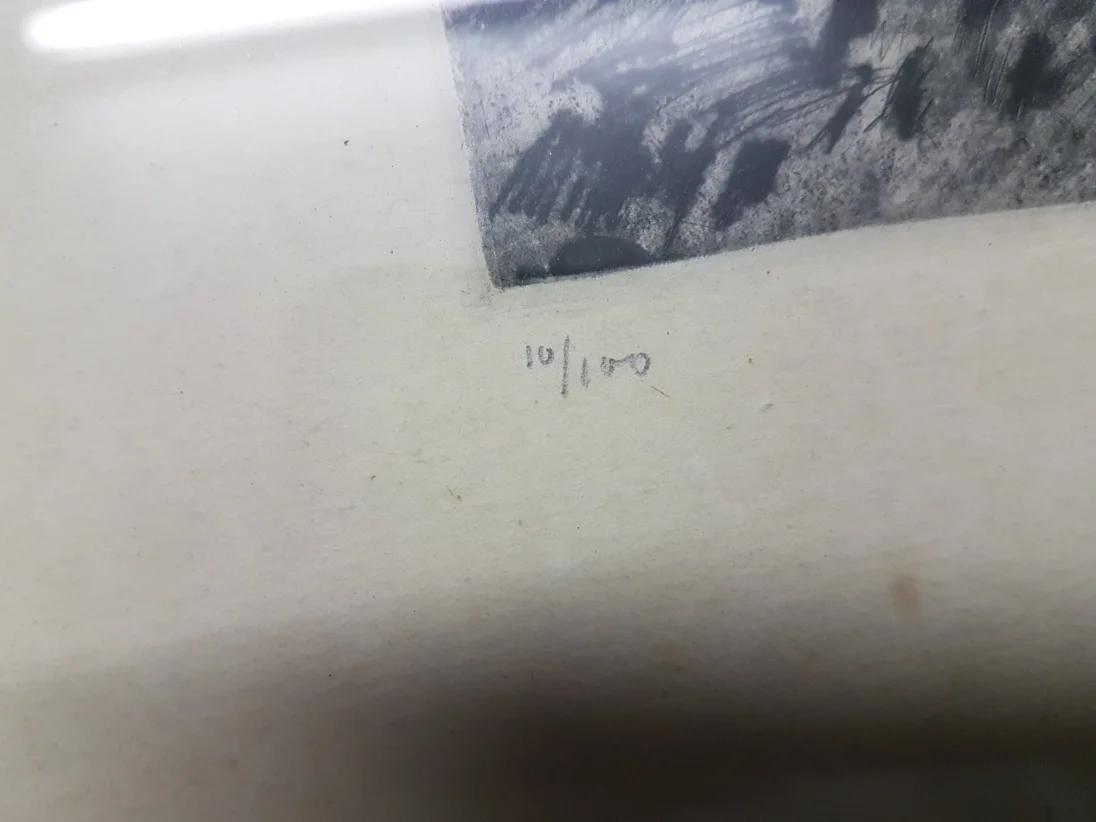 20190319_190240.jpg