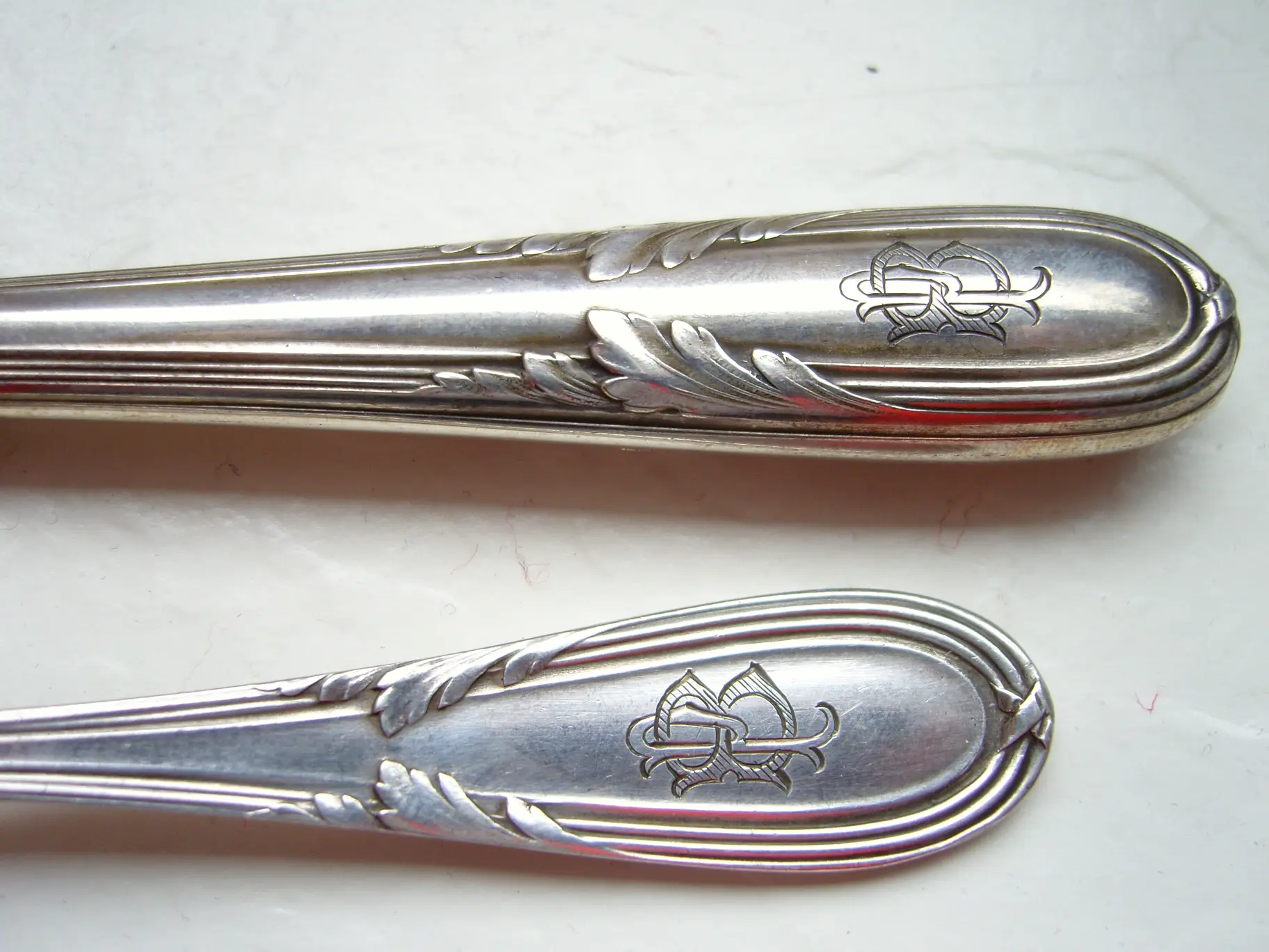 SNC15577.JPG
