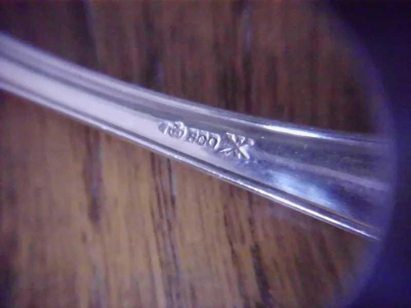 DSCI5417.JPG