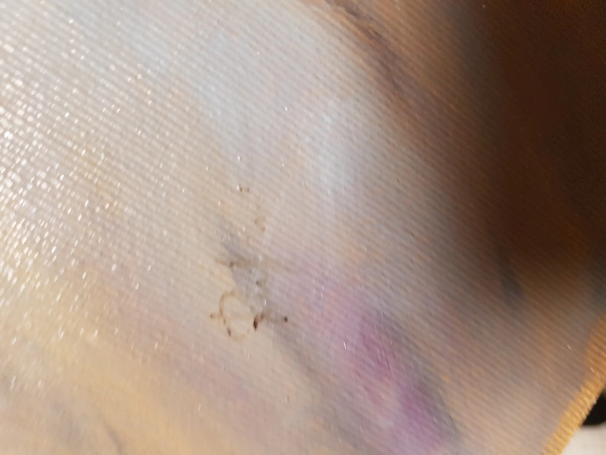 20190404_195943.jpg