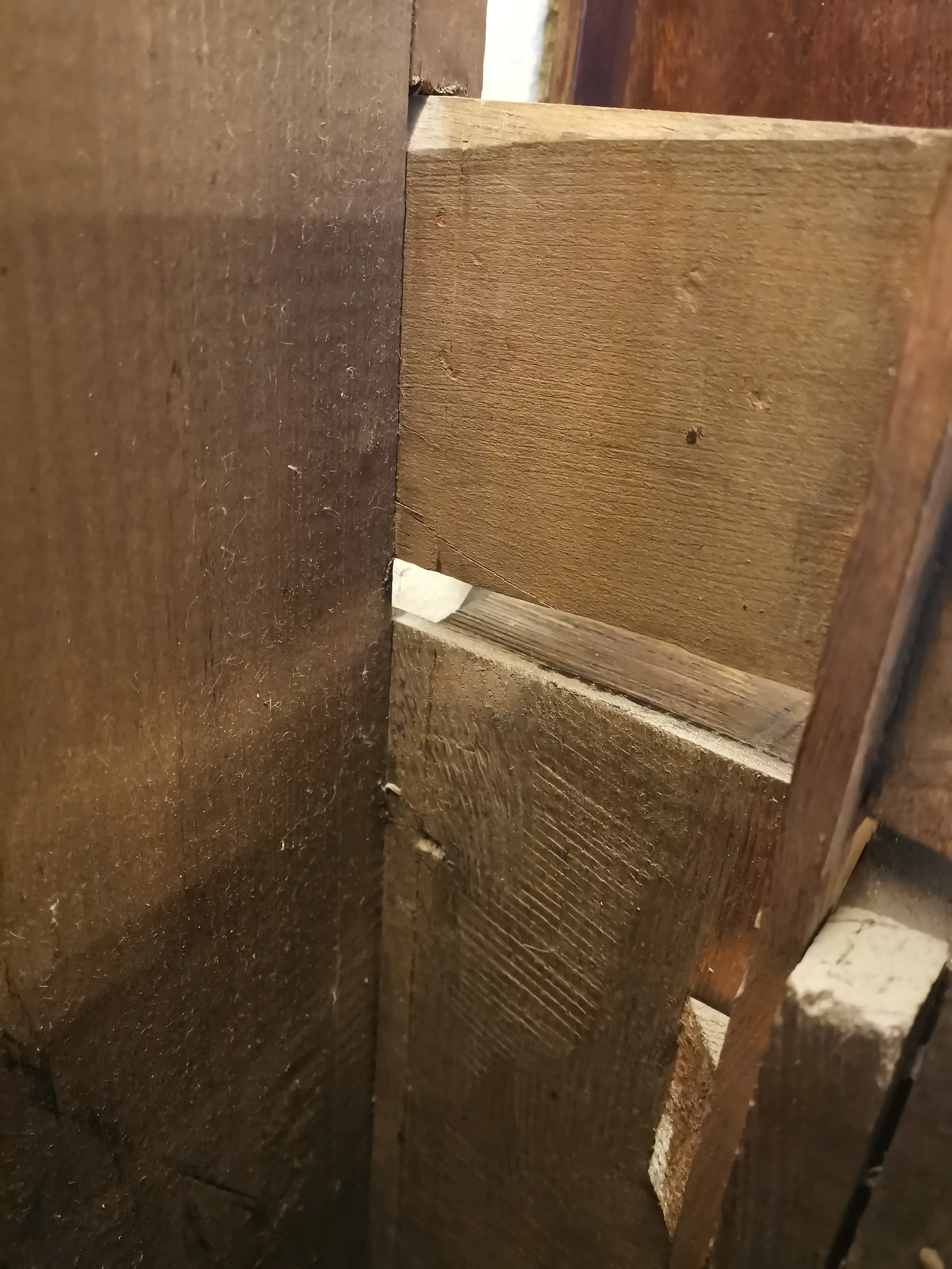 neueres holz.jpg