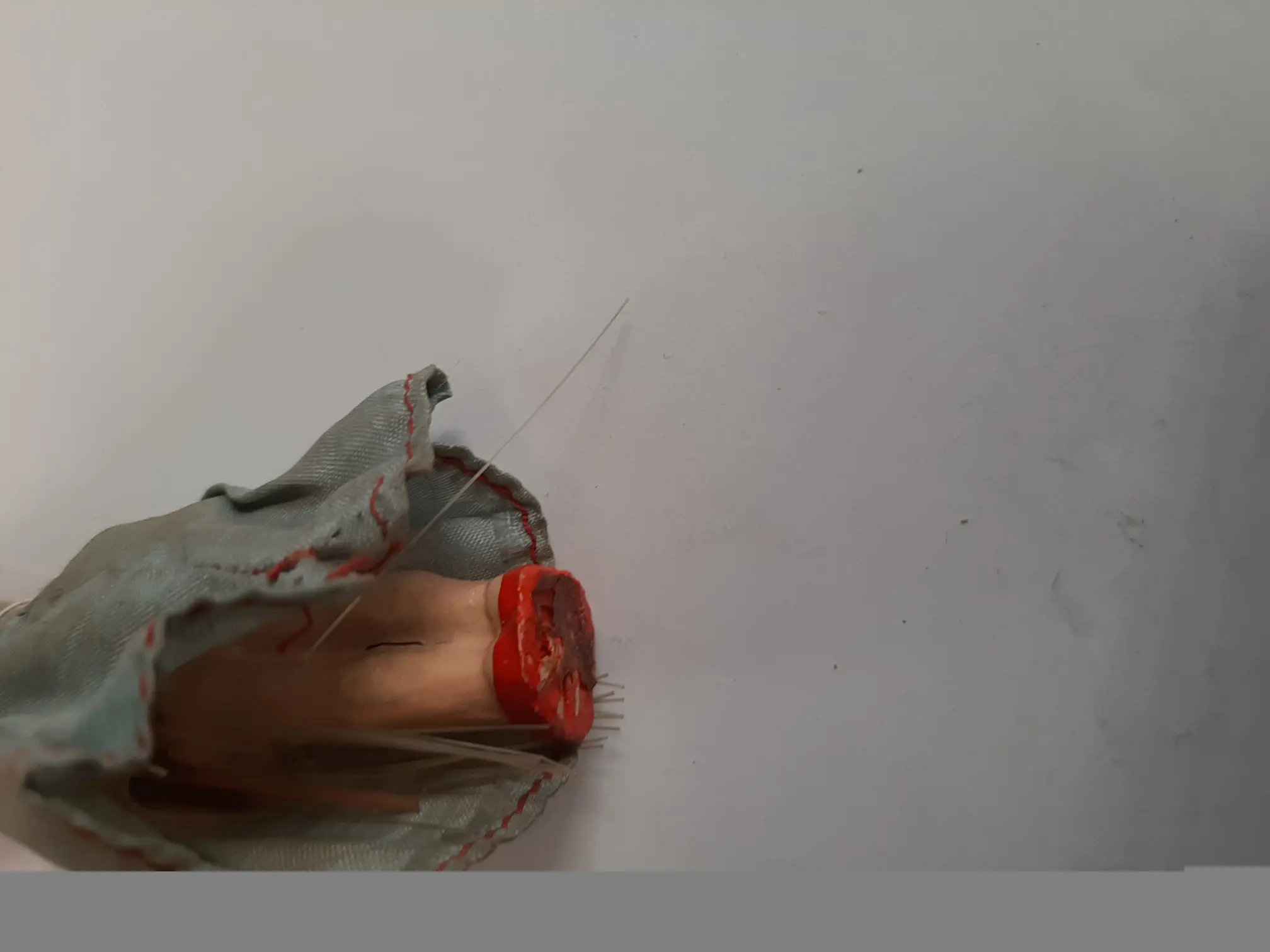 20190605_100844.jpg