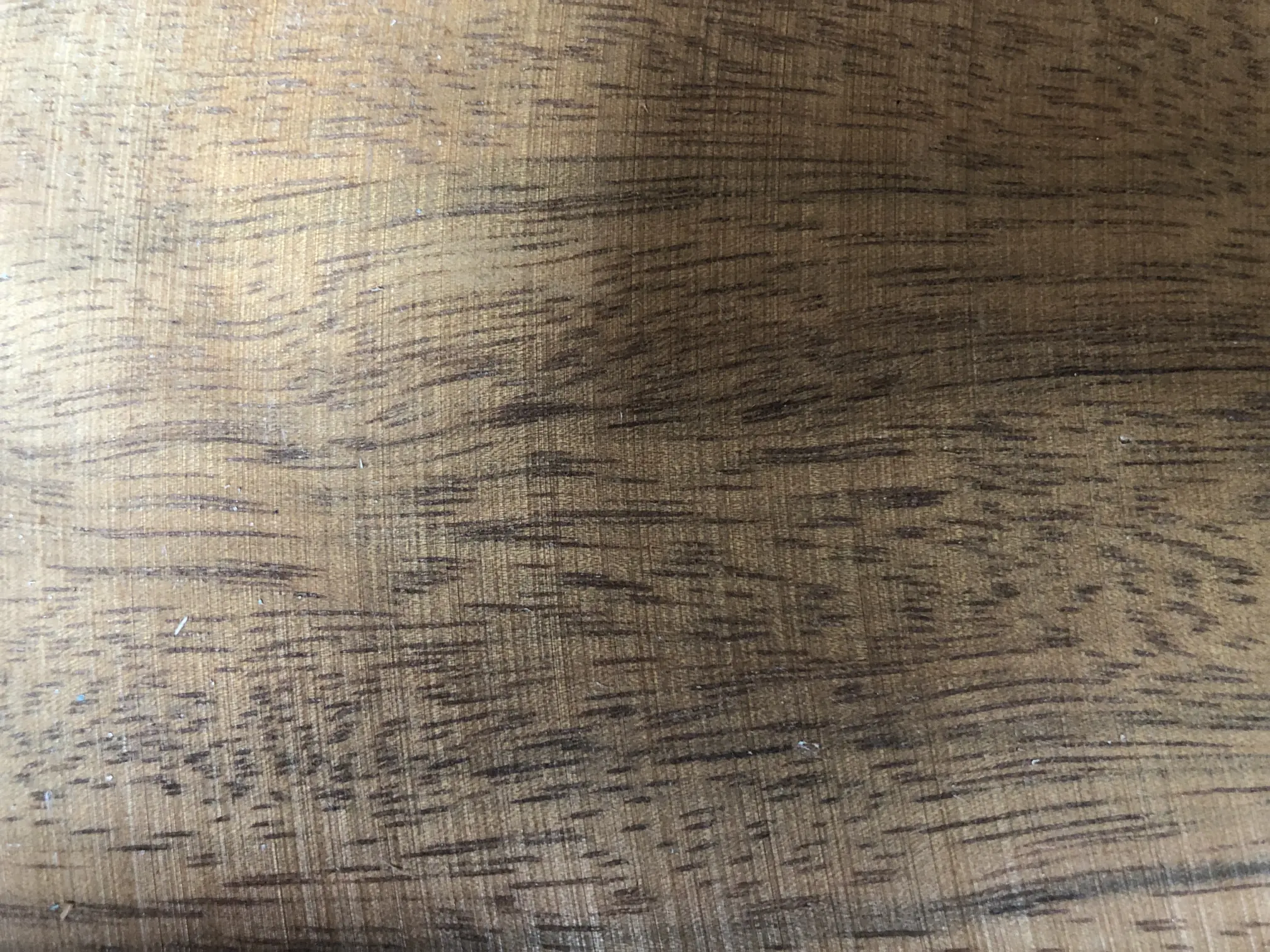 Innenseite des Deckels