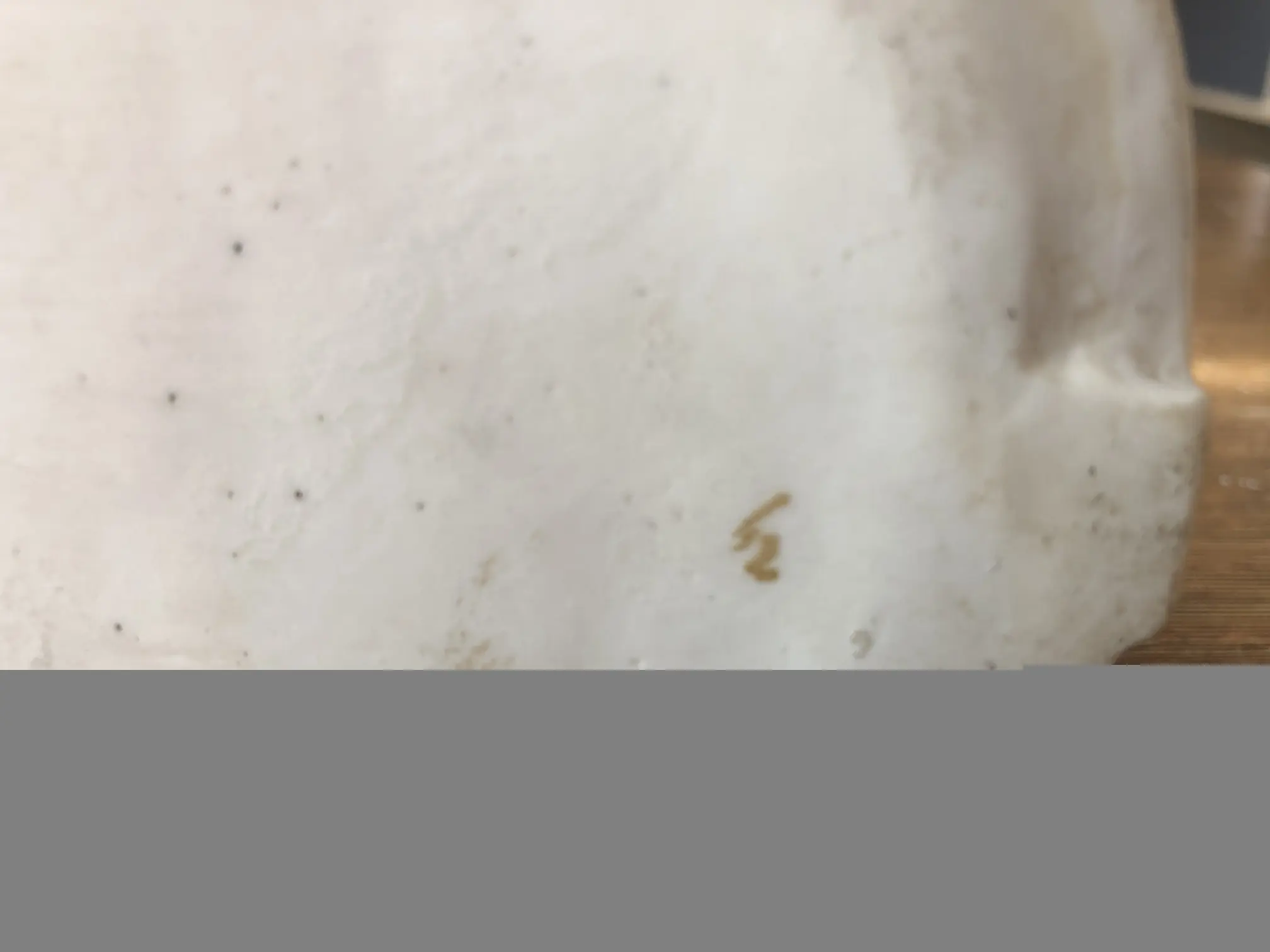 B4555D1D-0B2B-4BEC-82D5-58F567D6A017.jpeg