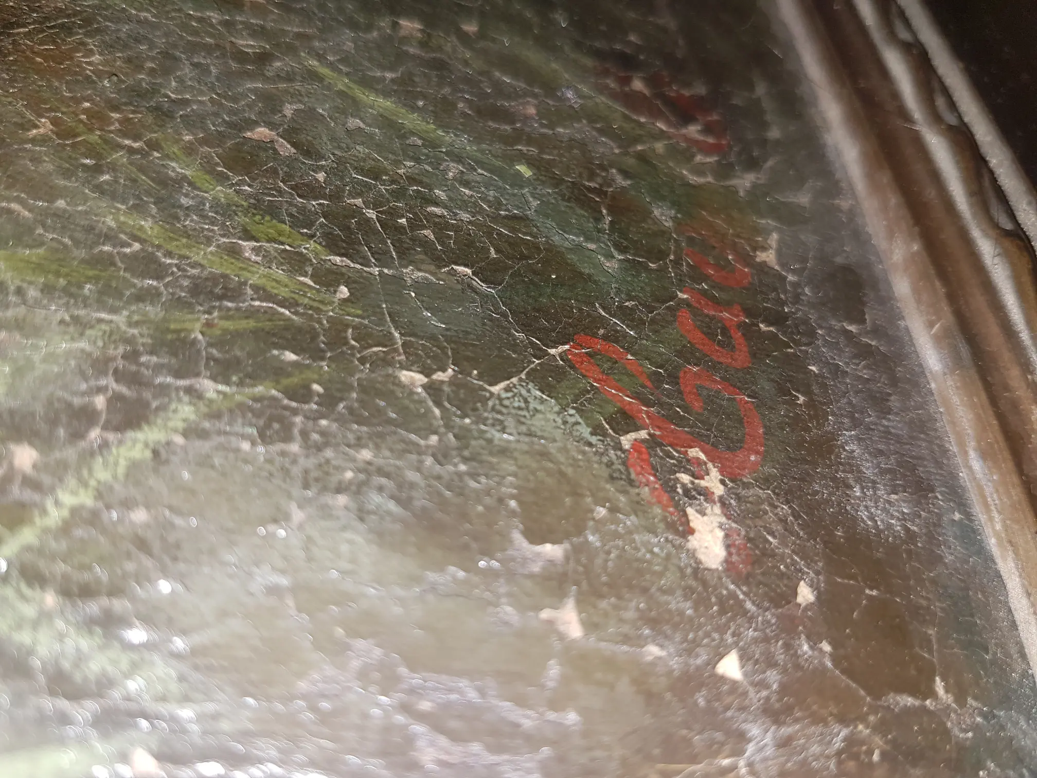 20190620_203159.jpg