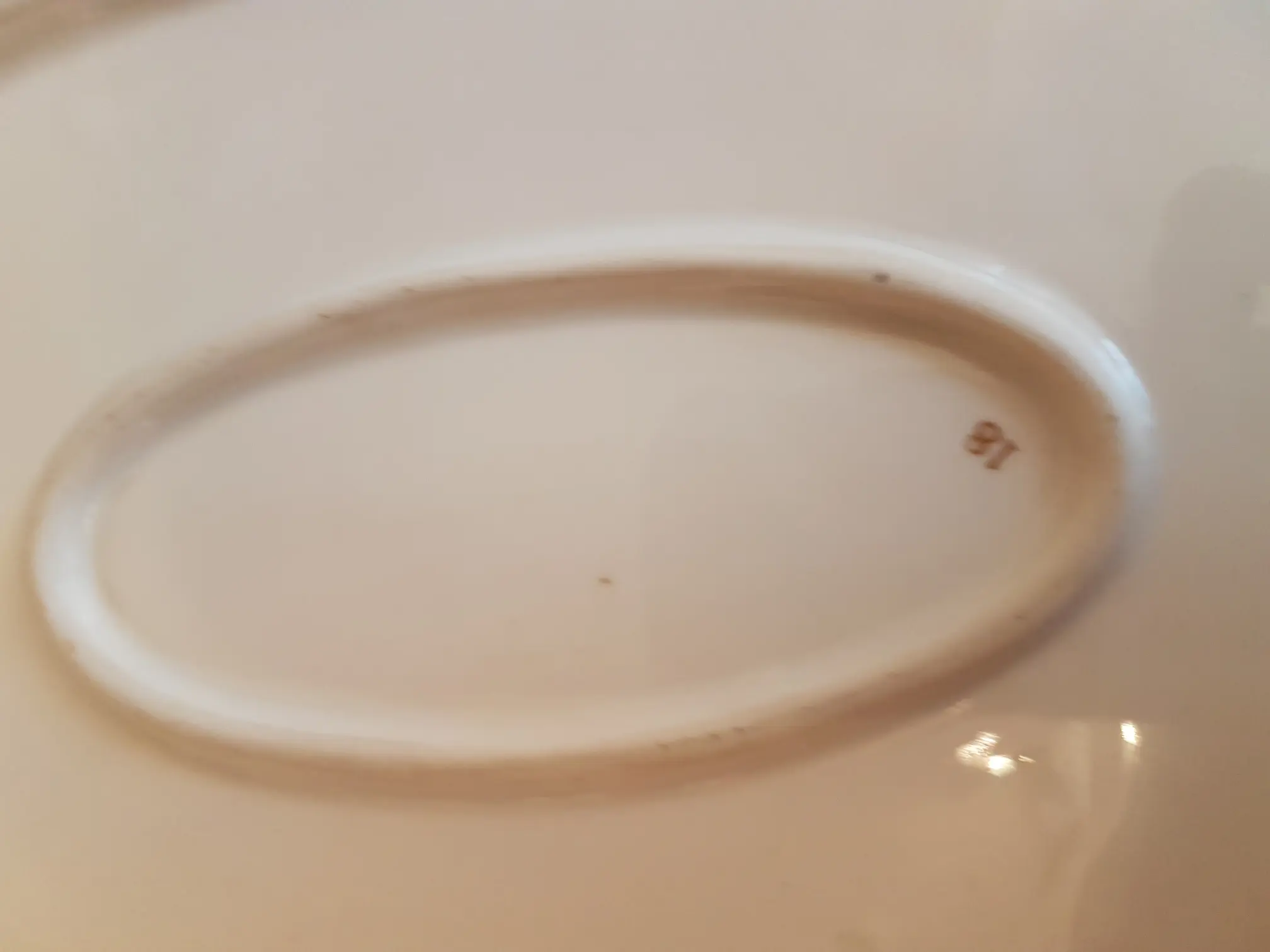 20190726_194518.jpg