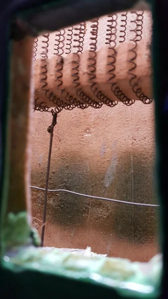 20190803_200143_001.JPG