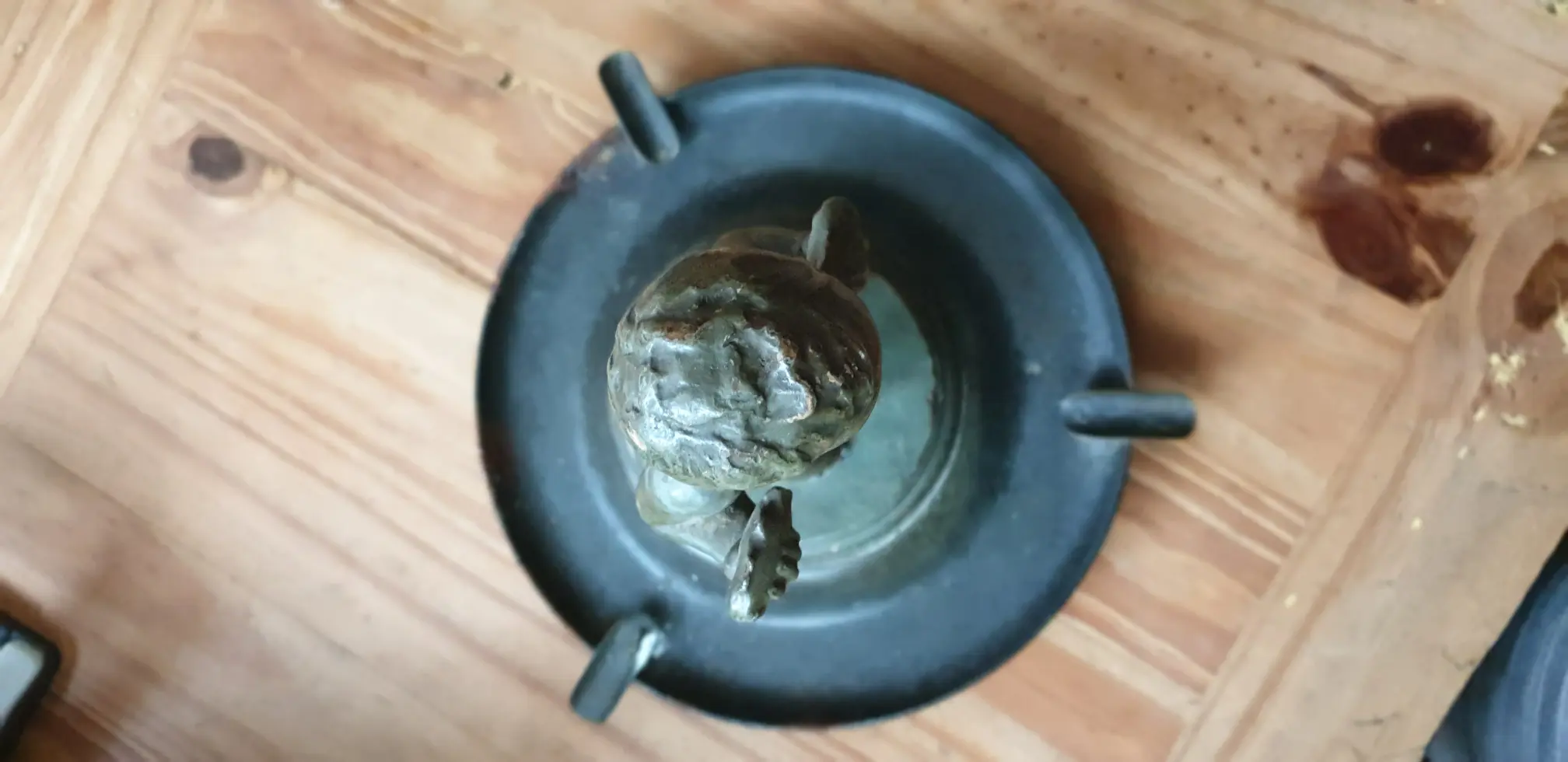 20190811_170351.jpg