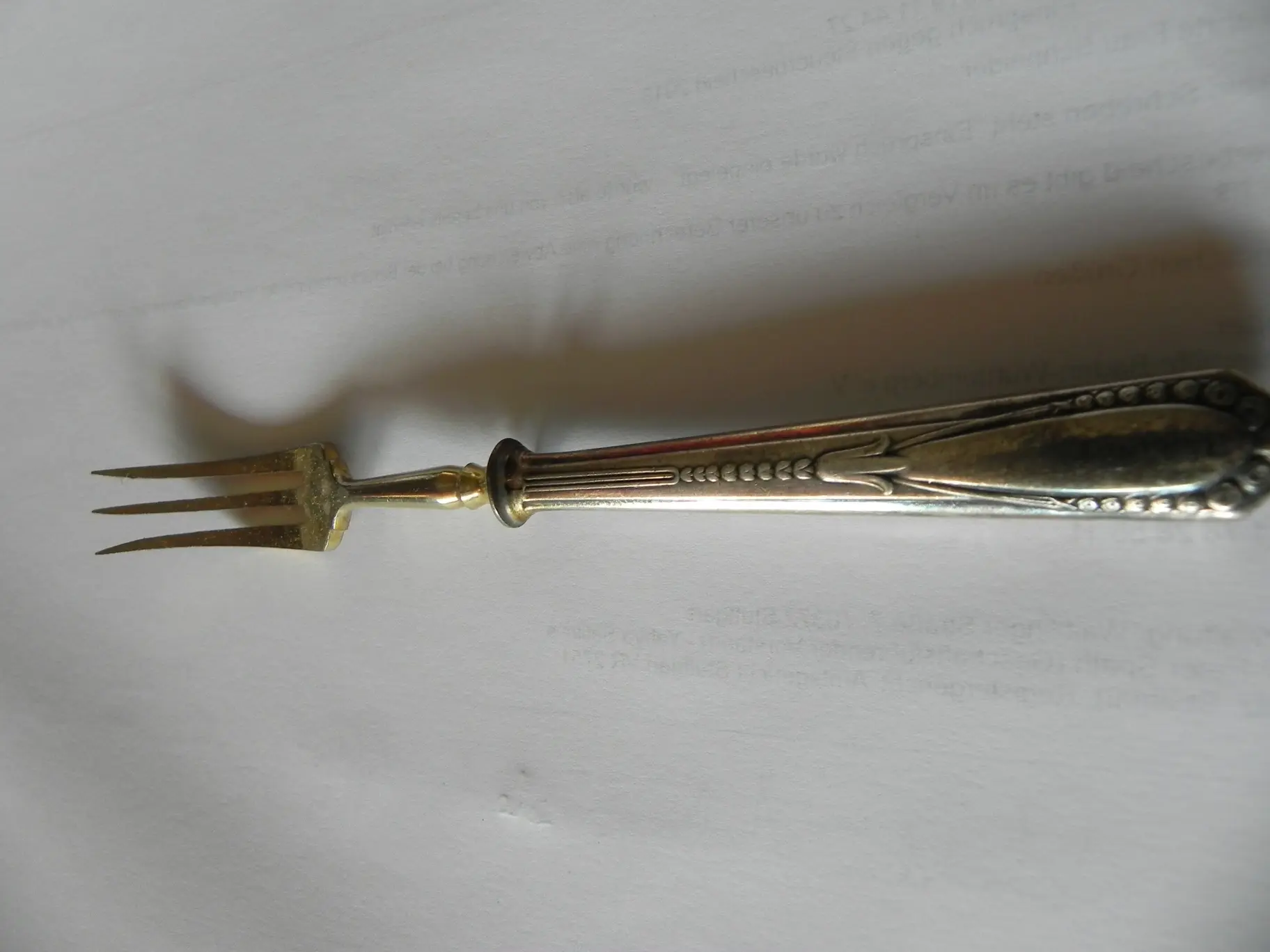 DSCN6363.JPG