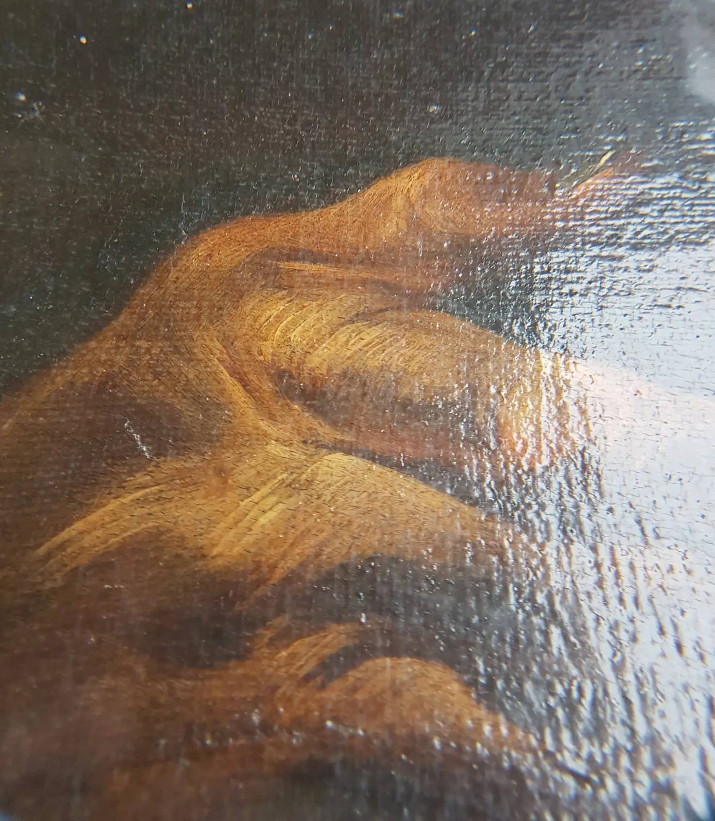 20190817_160510.jpg