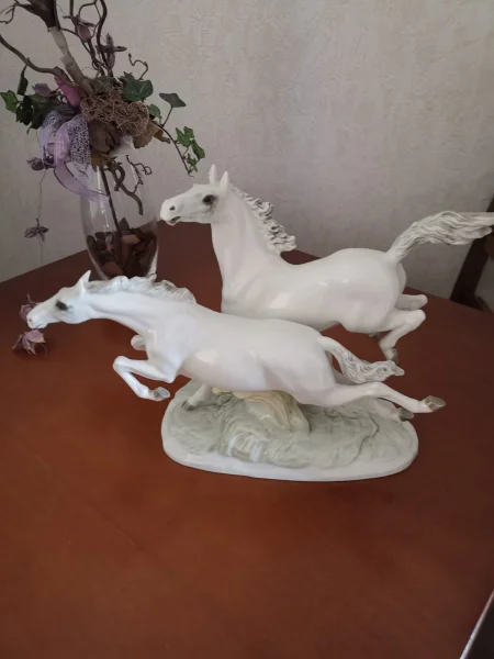 IMG-20190901-WA0001.jpg