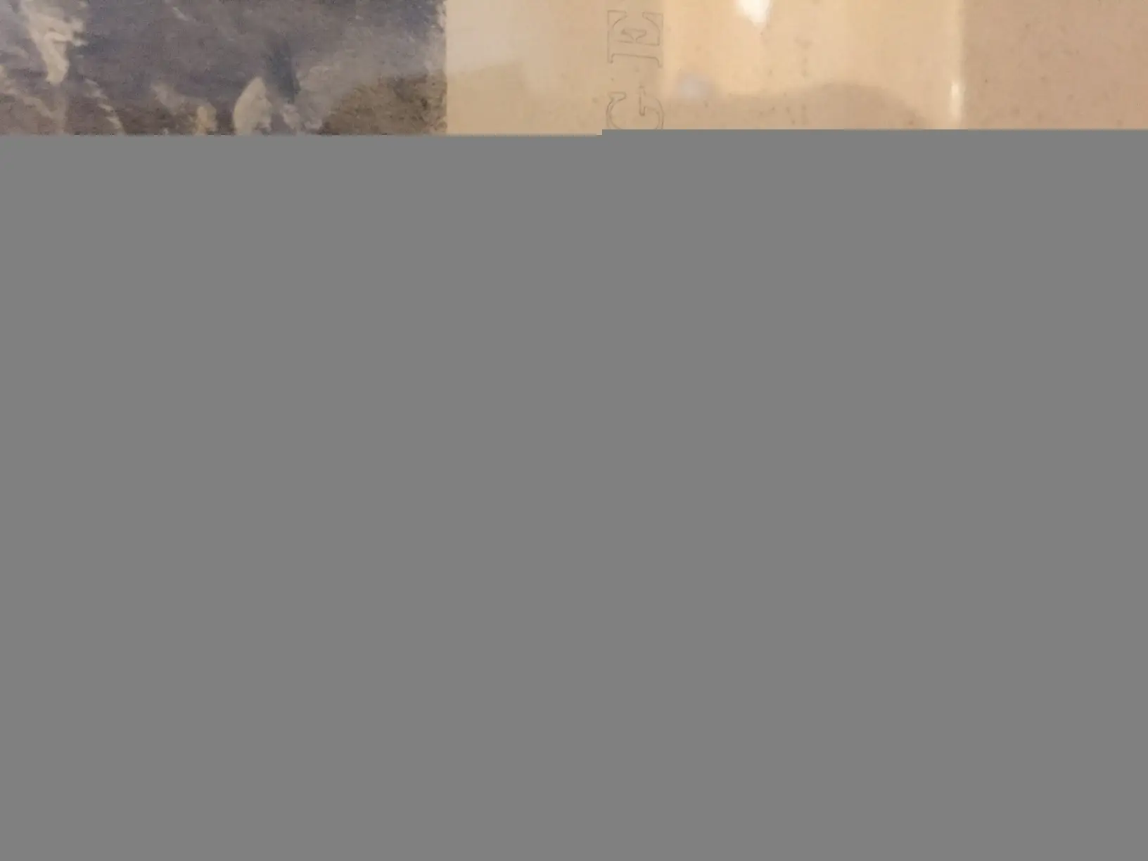 B7B70736-743A-4739-B069-75D2F0EBF43C.jpeg