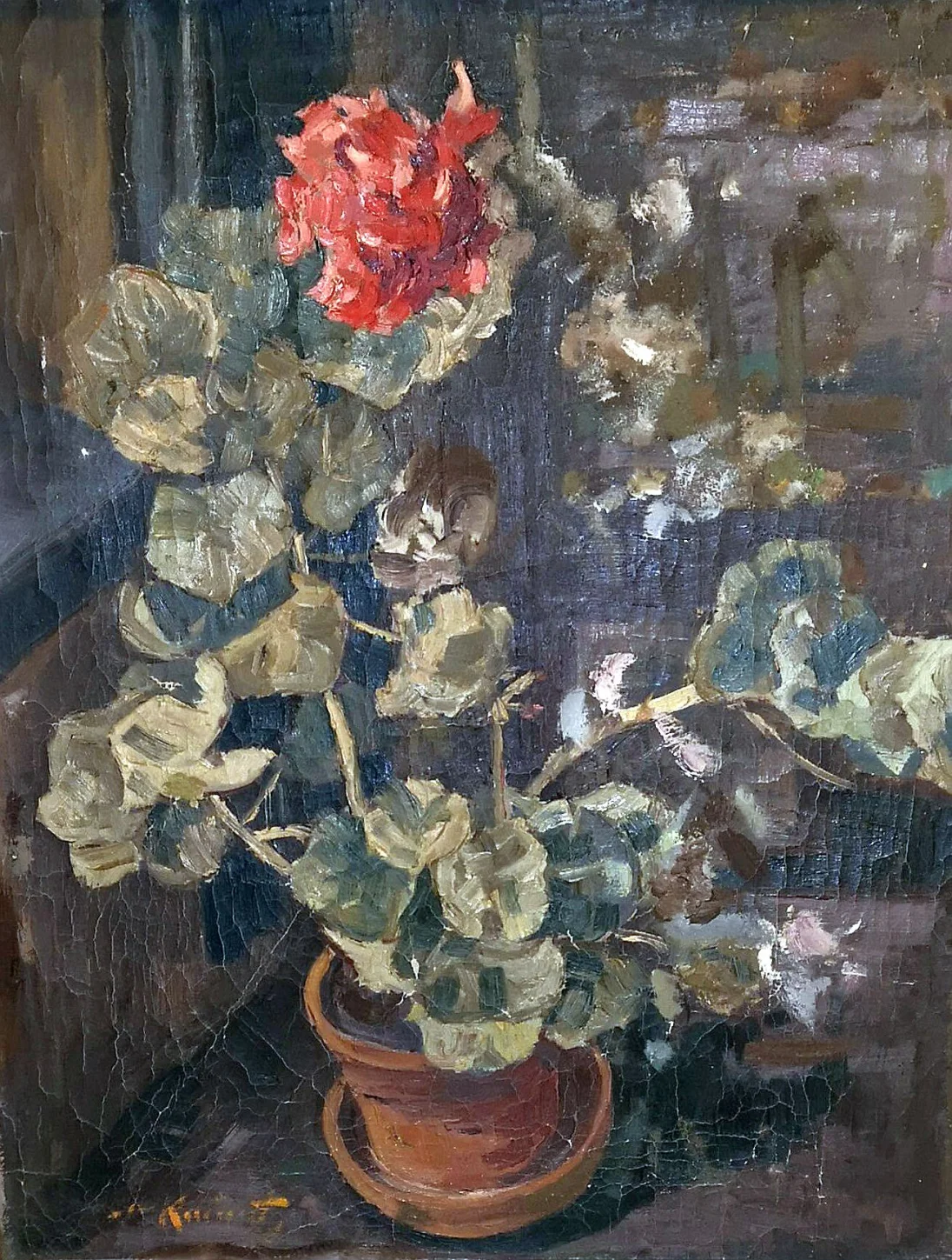 Plant.jpg