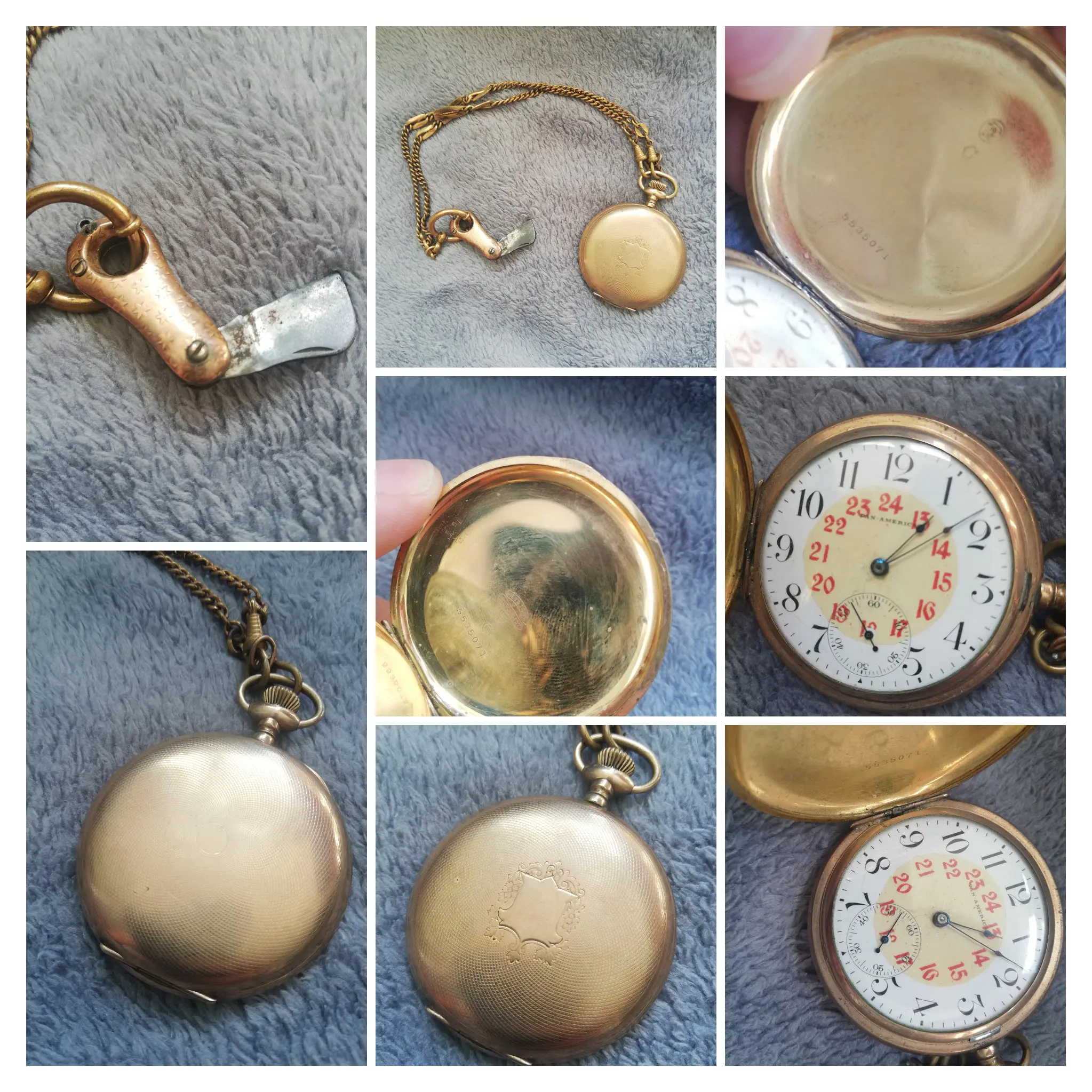 IMG_20190929_131826-COLLAGE.jpg