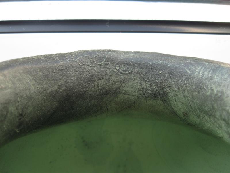 stier 001.JPG