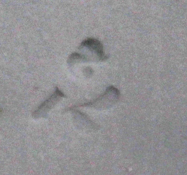 druck in porzellan.jpg