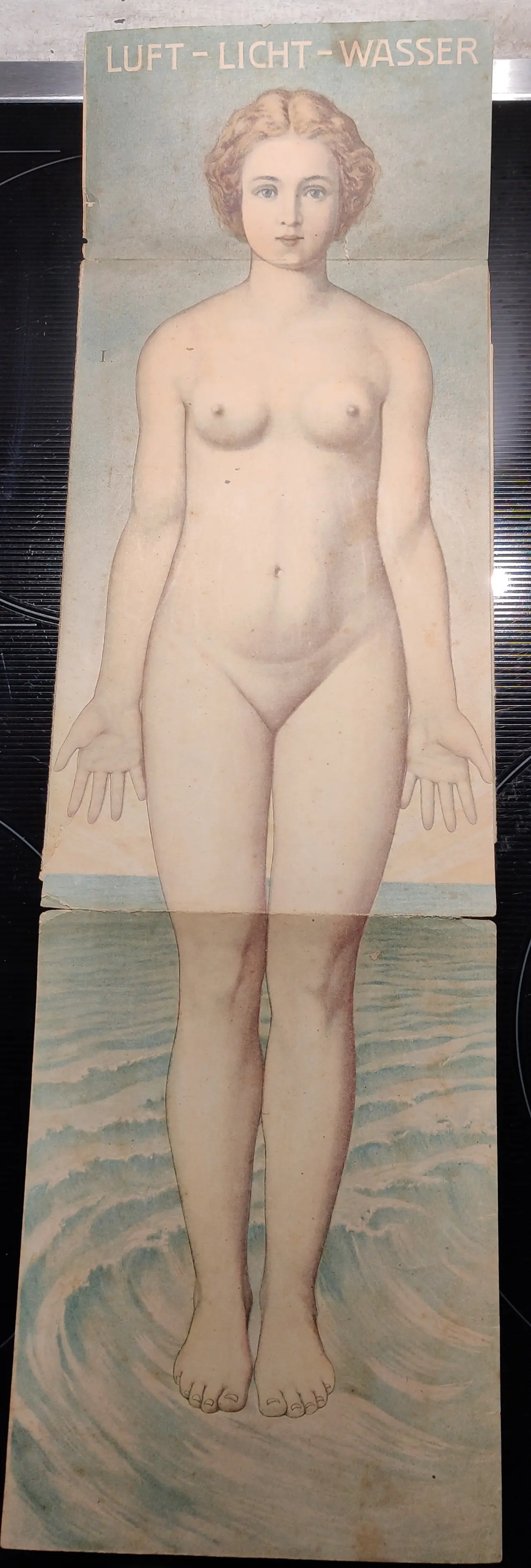 Anatomie 1.jpg