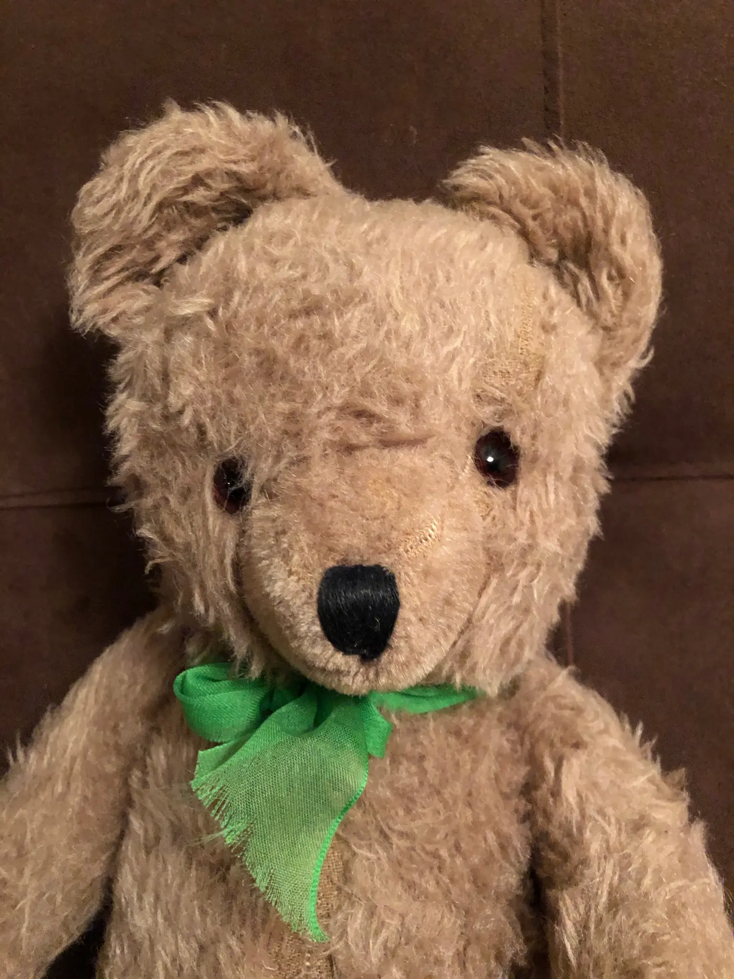 Herkunft der teddybaeren