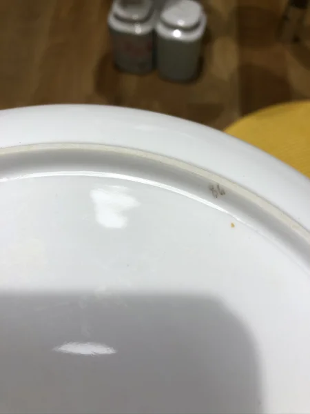 C4527803-B756-44F8-9C81-6CE612CF4D72.jpeg
