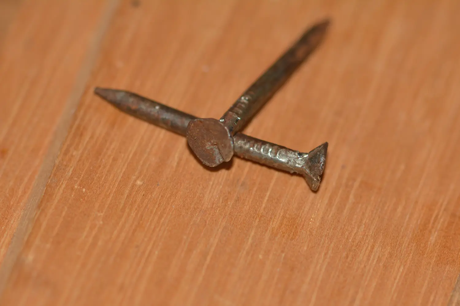 DSC_9961.jpg