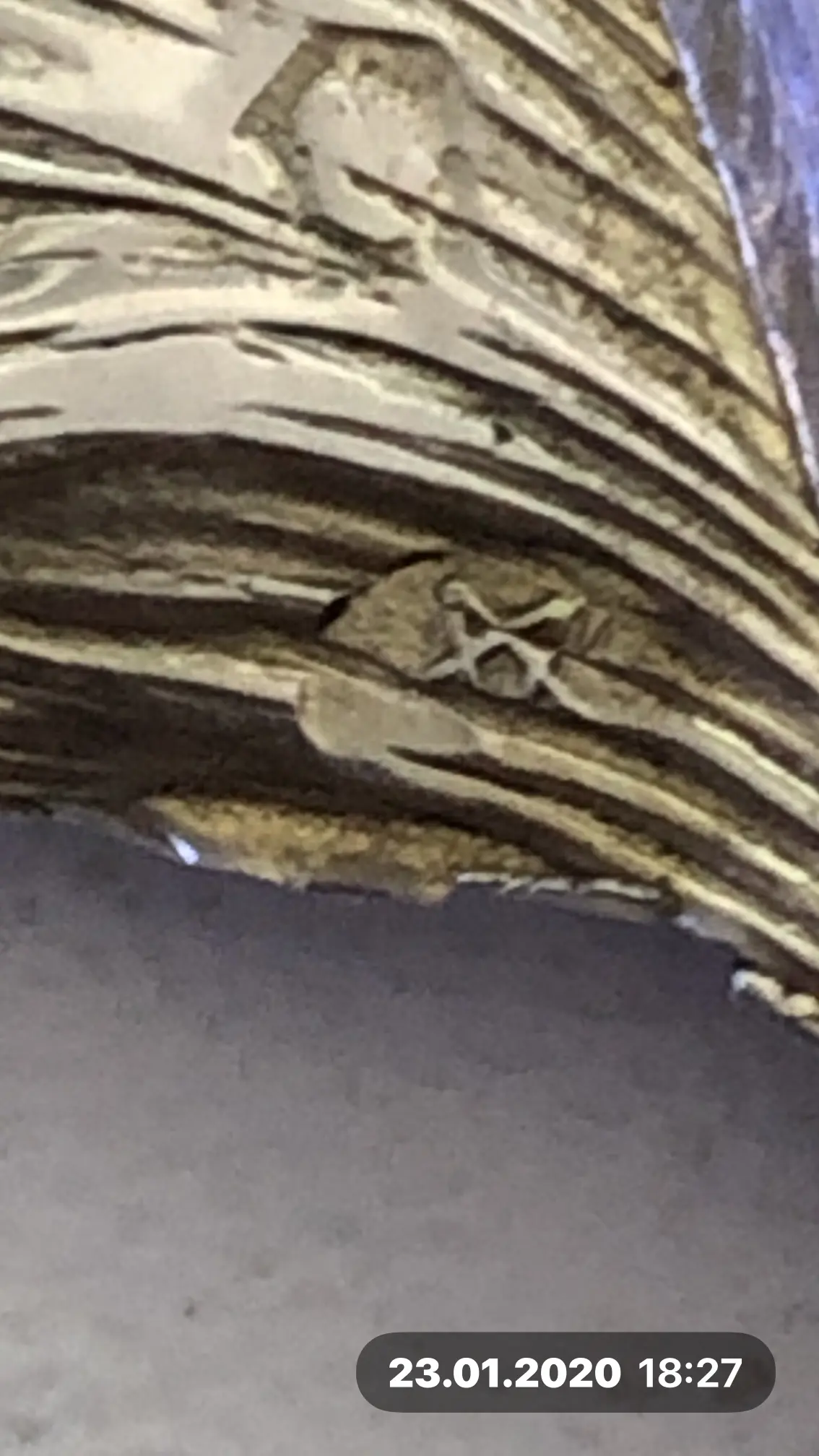 IMG_5420.jpeg