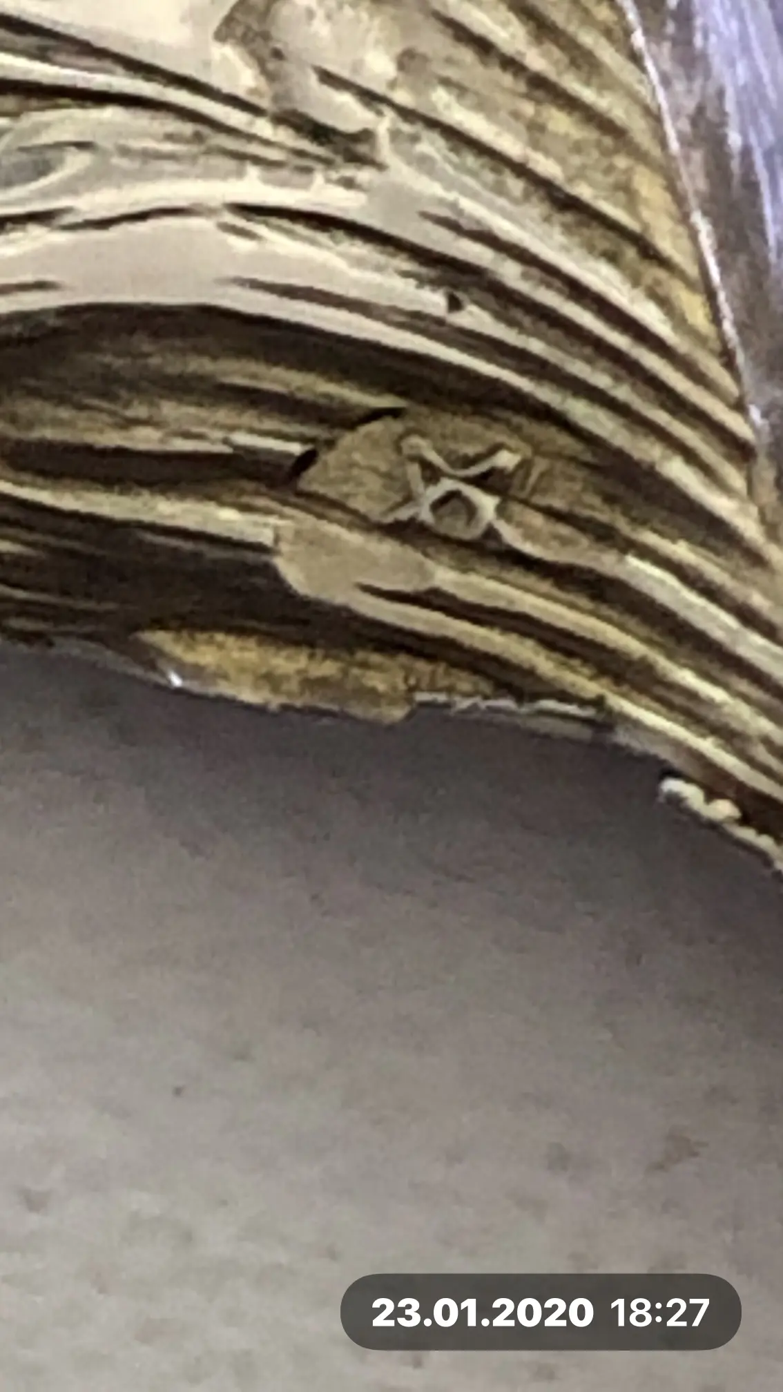 IMG_5421.jpeg