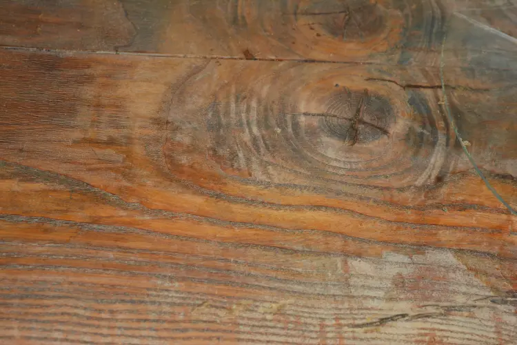 holz deckplatte.jpg