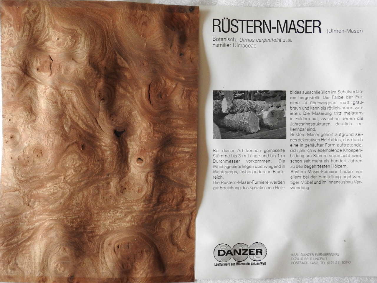 furnier maser 001.JPG