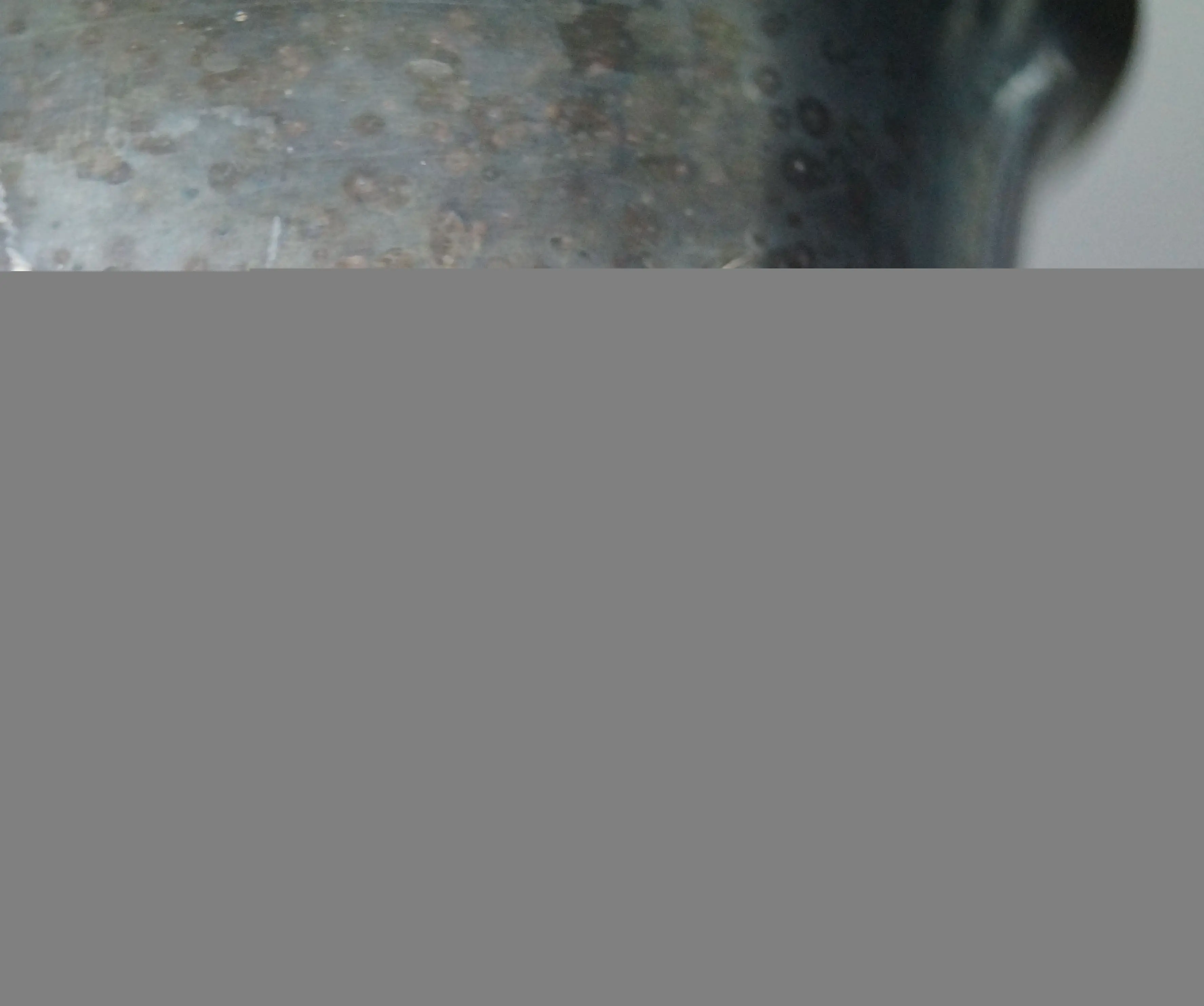 DSC07787.JPG