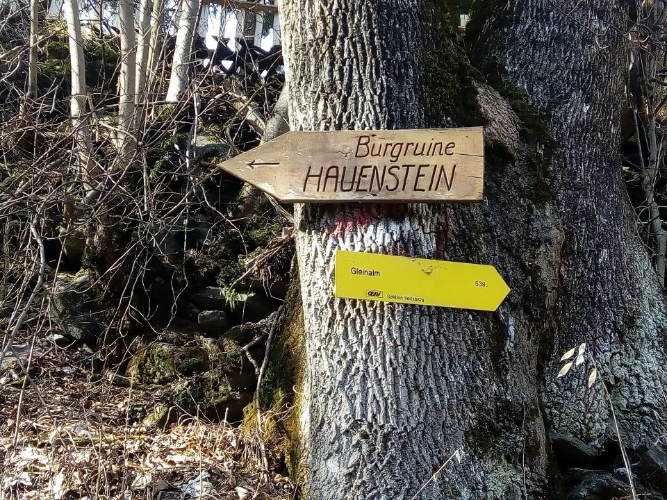 IMG_20200216_115920 Hauenstein.jpg