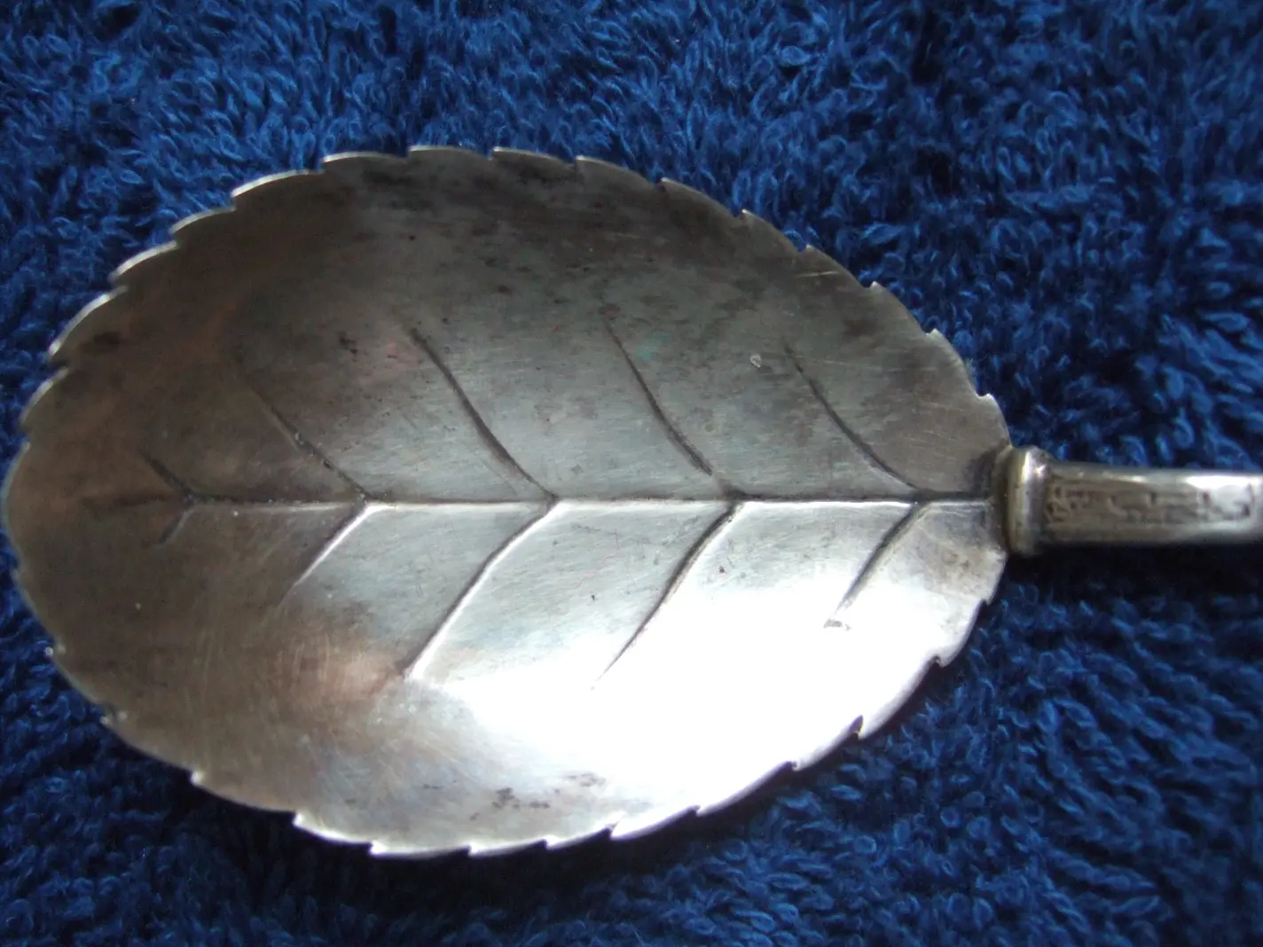 DSCF1700.JPG