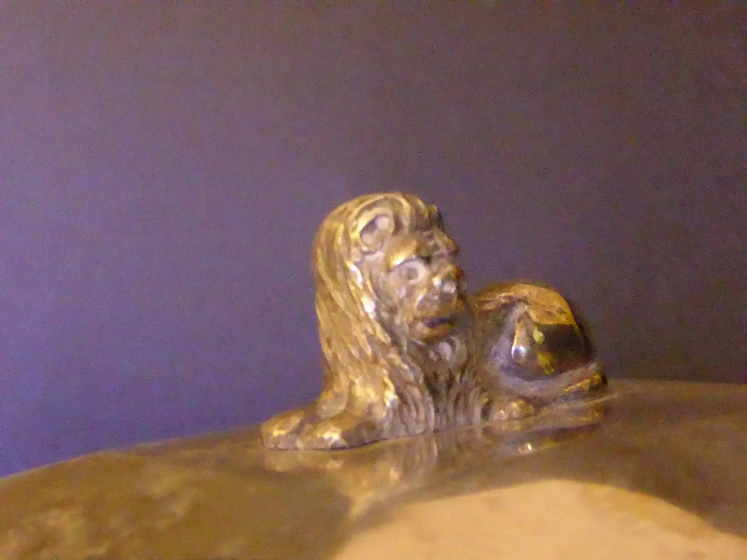 P1060231.JPG