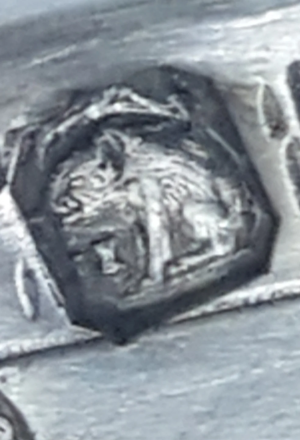 20200410_170605.jpg