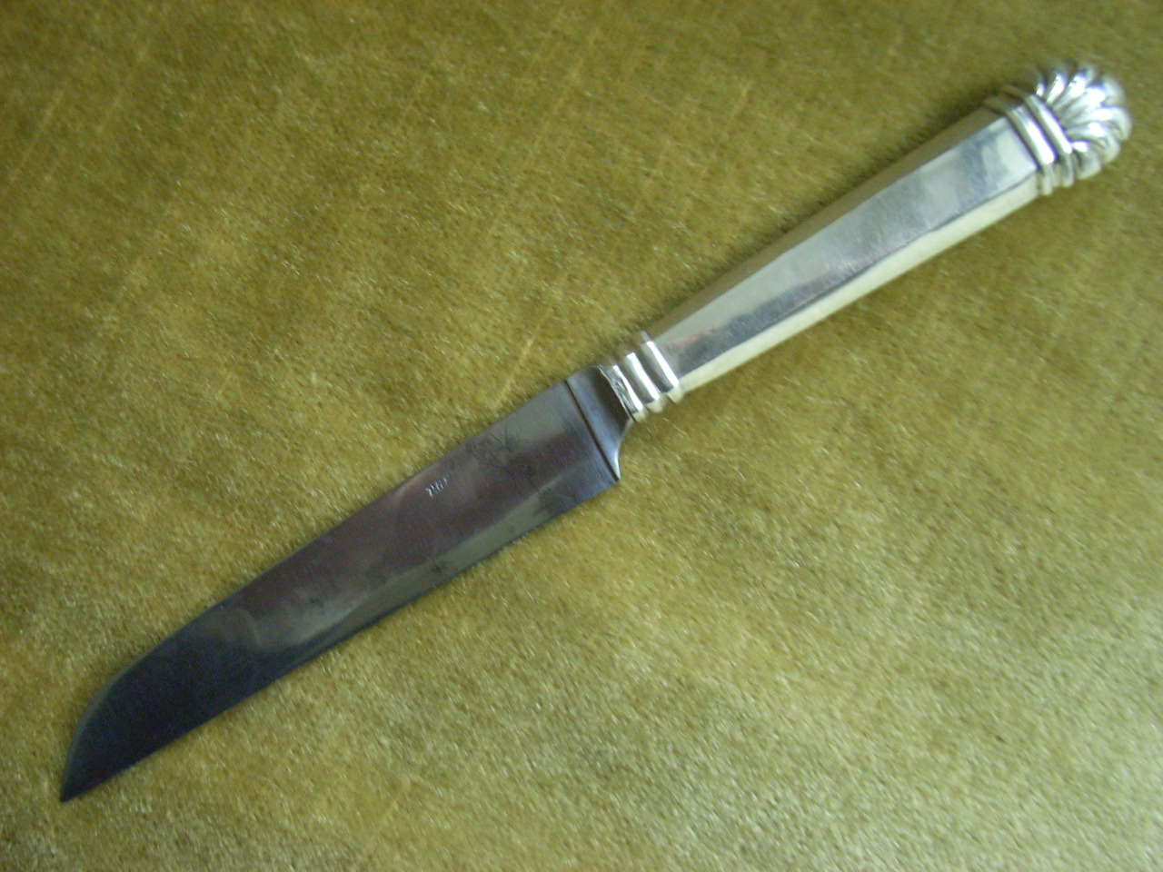 RIMG7518.JPG