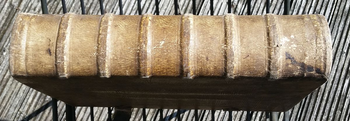 Der Buchrücken ist ebenfalls aus Holz