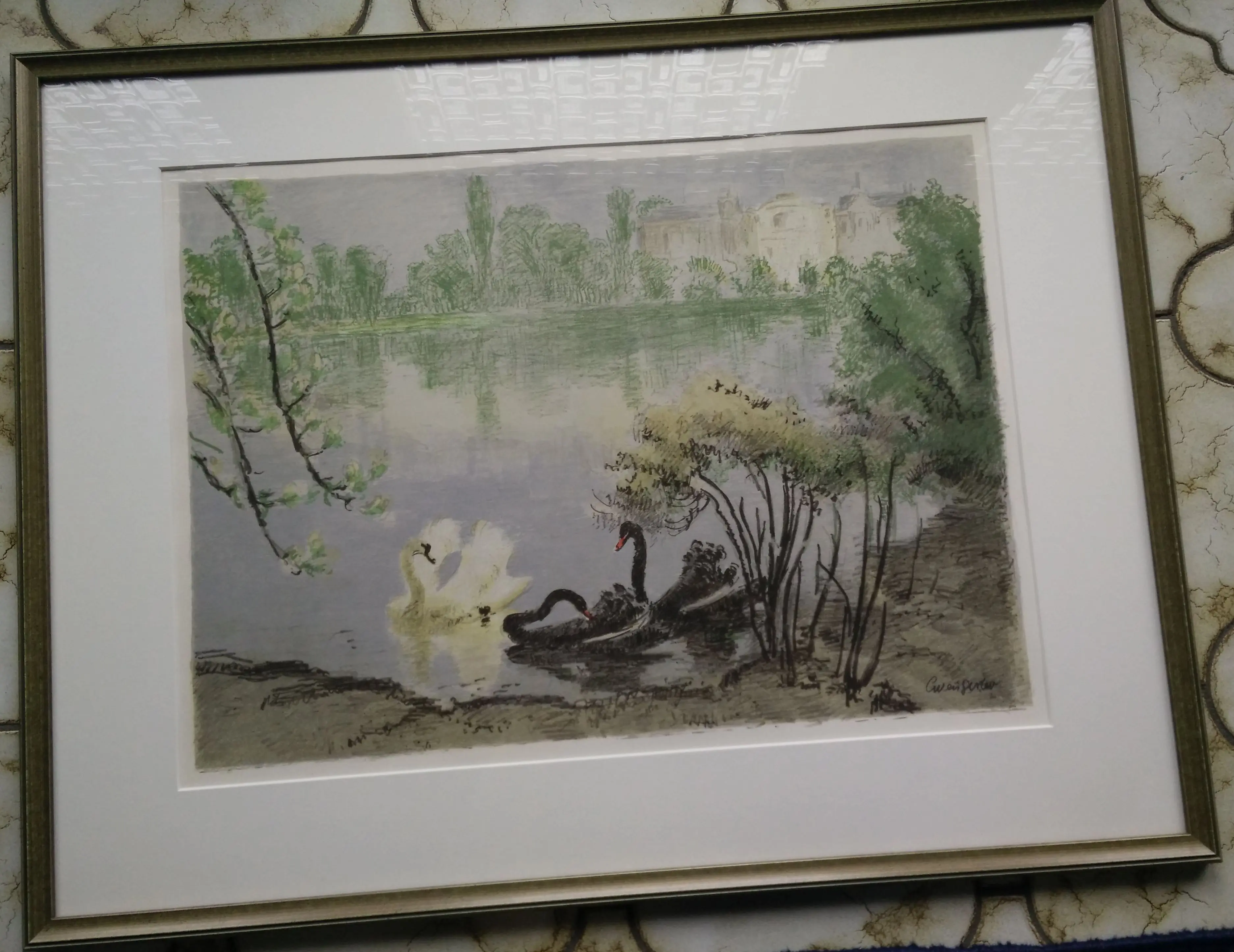 Bild5