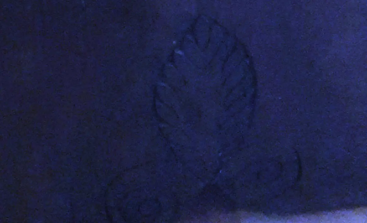 20200619_174832.jpg