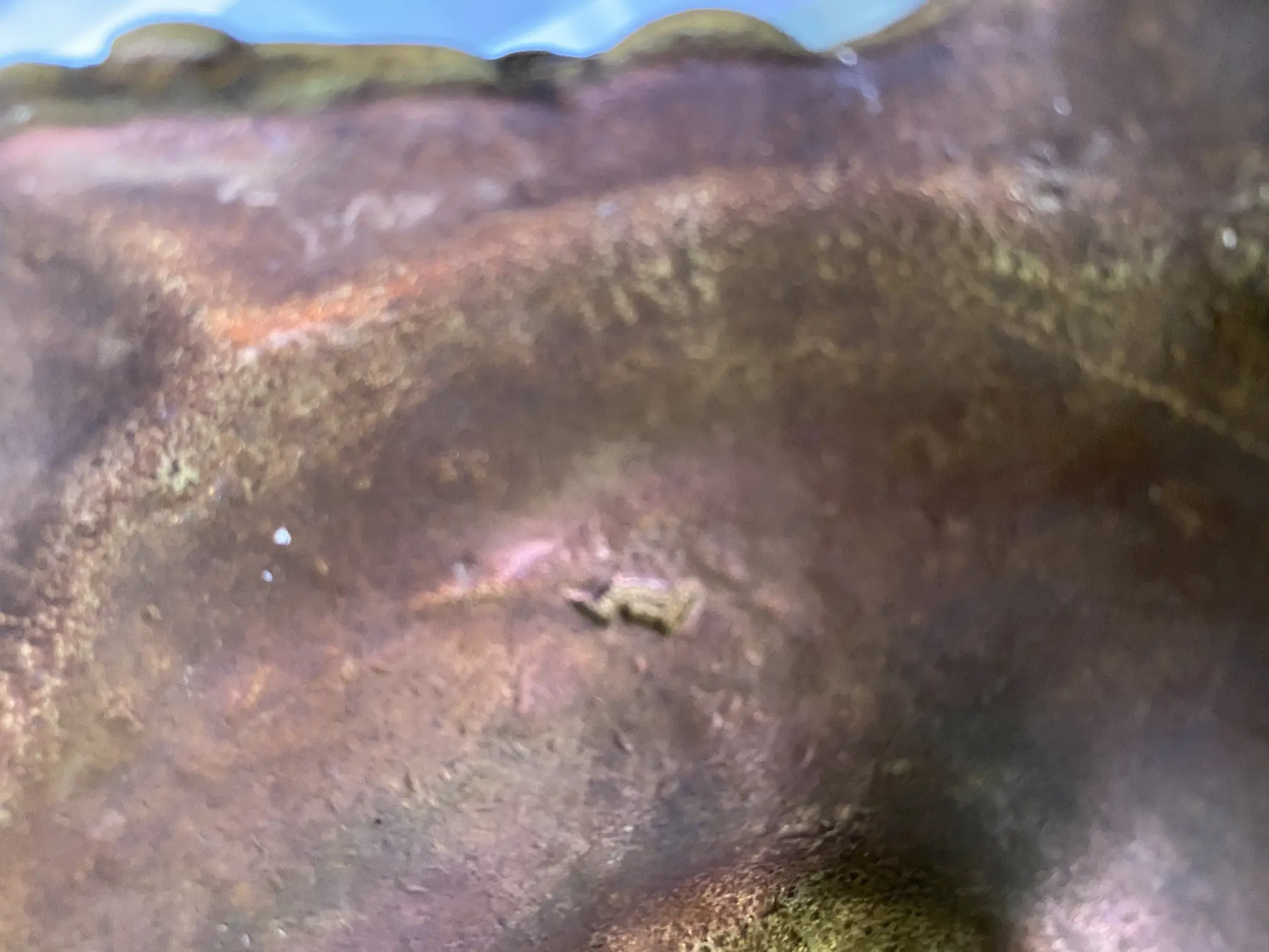 8777FDAF-7F62-467E-AB1E-804E4EA6CD5F.jpeg