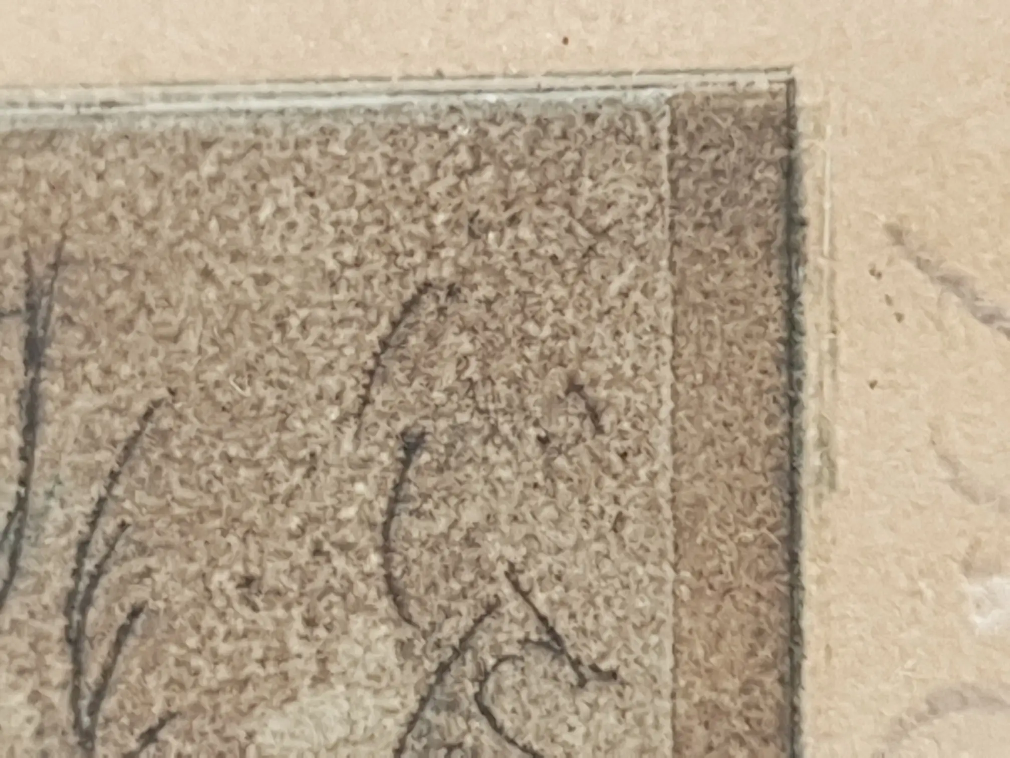 20200702_202016.jpg