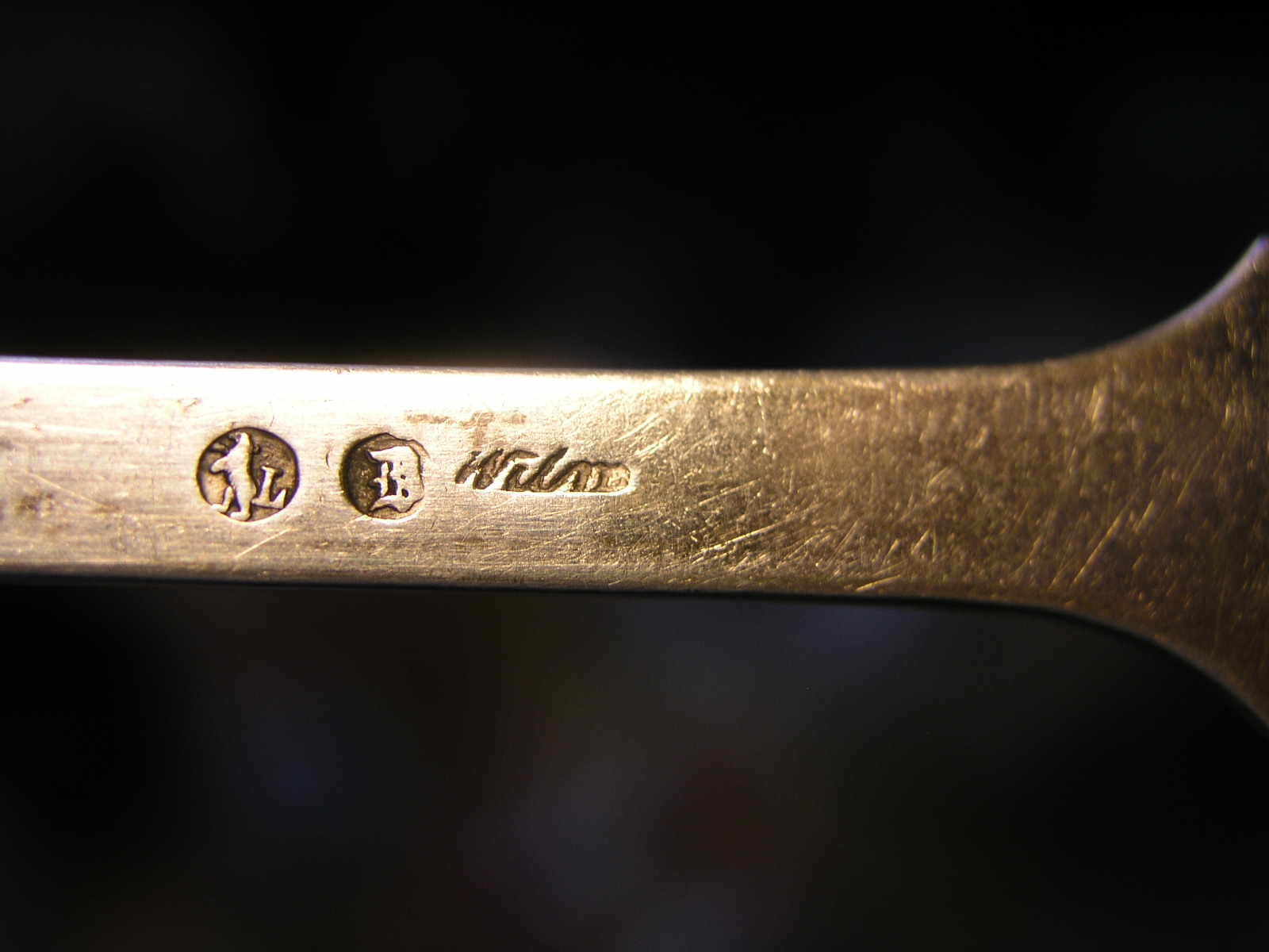 WILM D.JPG