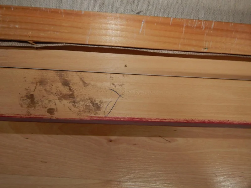 DSCN4311.JPG