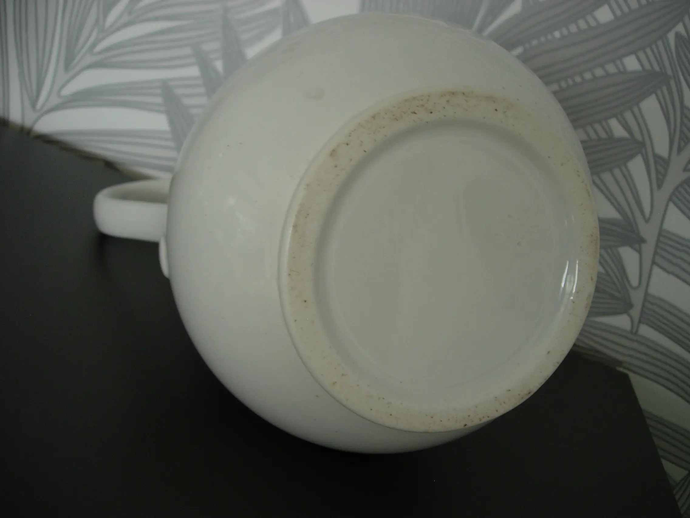 DSCN6016.JPG