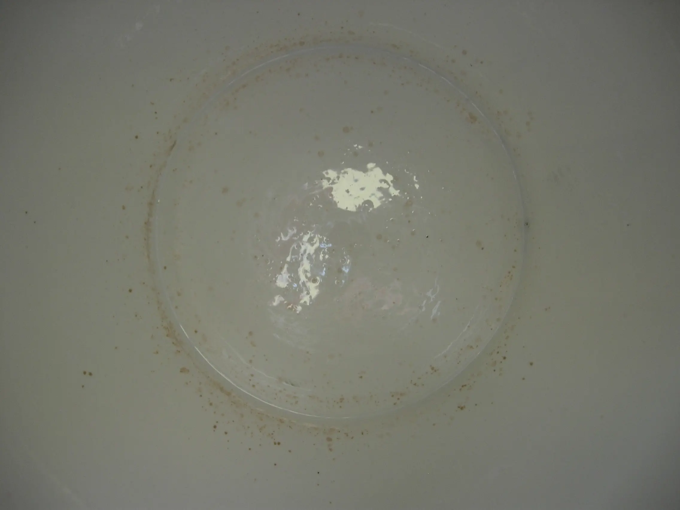 DSCN6054.JPG