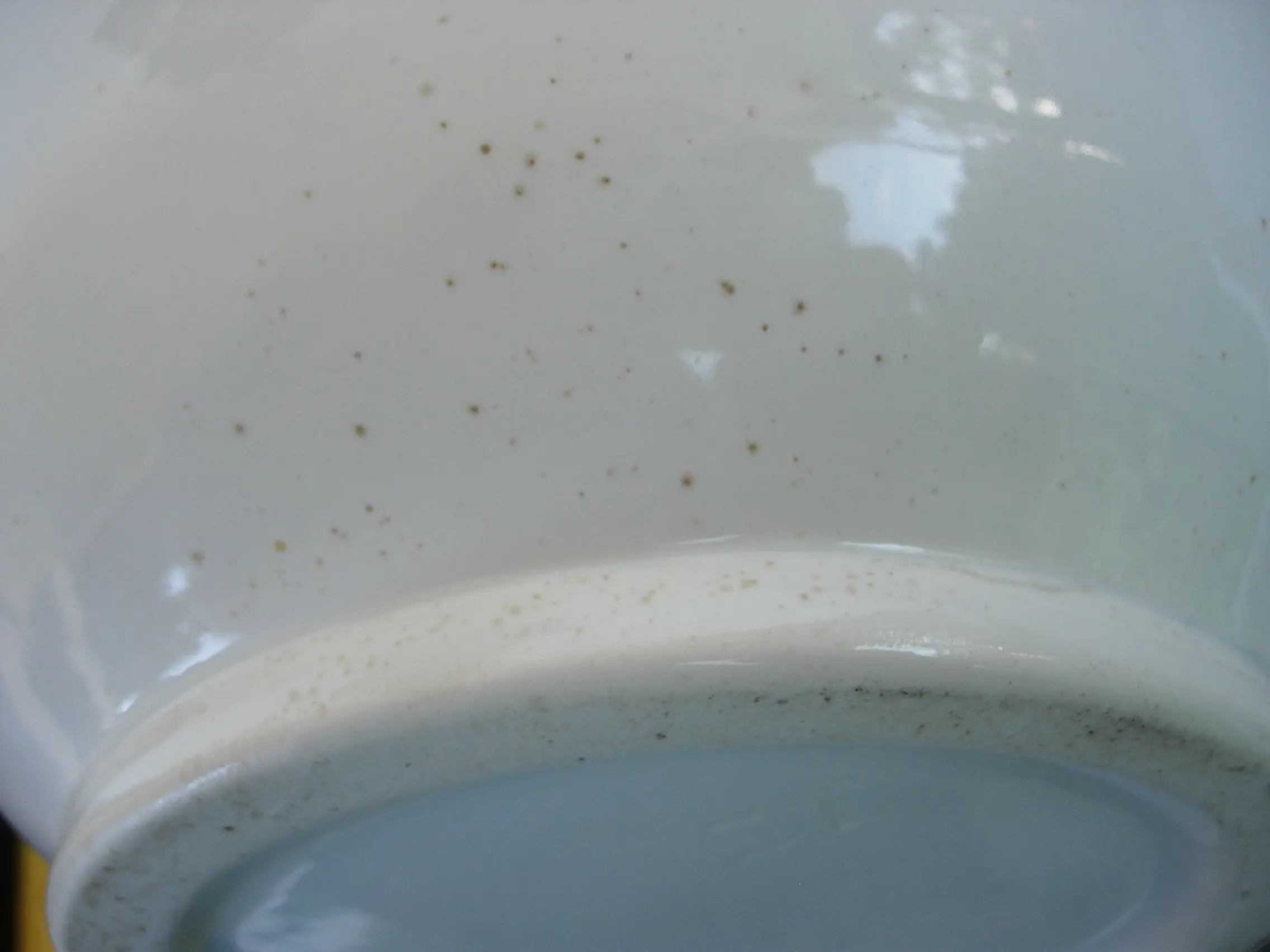 DSCN6056.JPG
