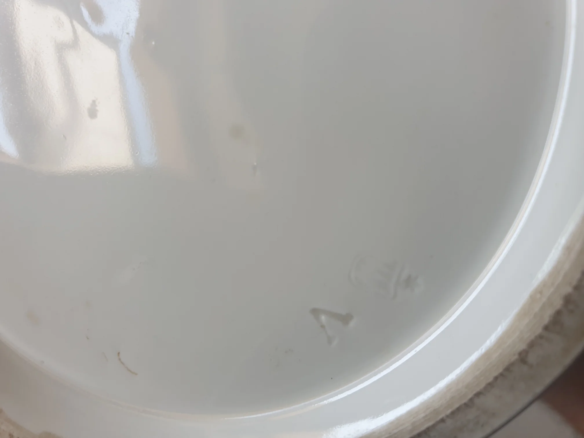 20200806_160501.jpg