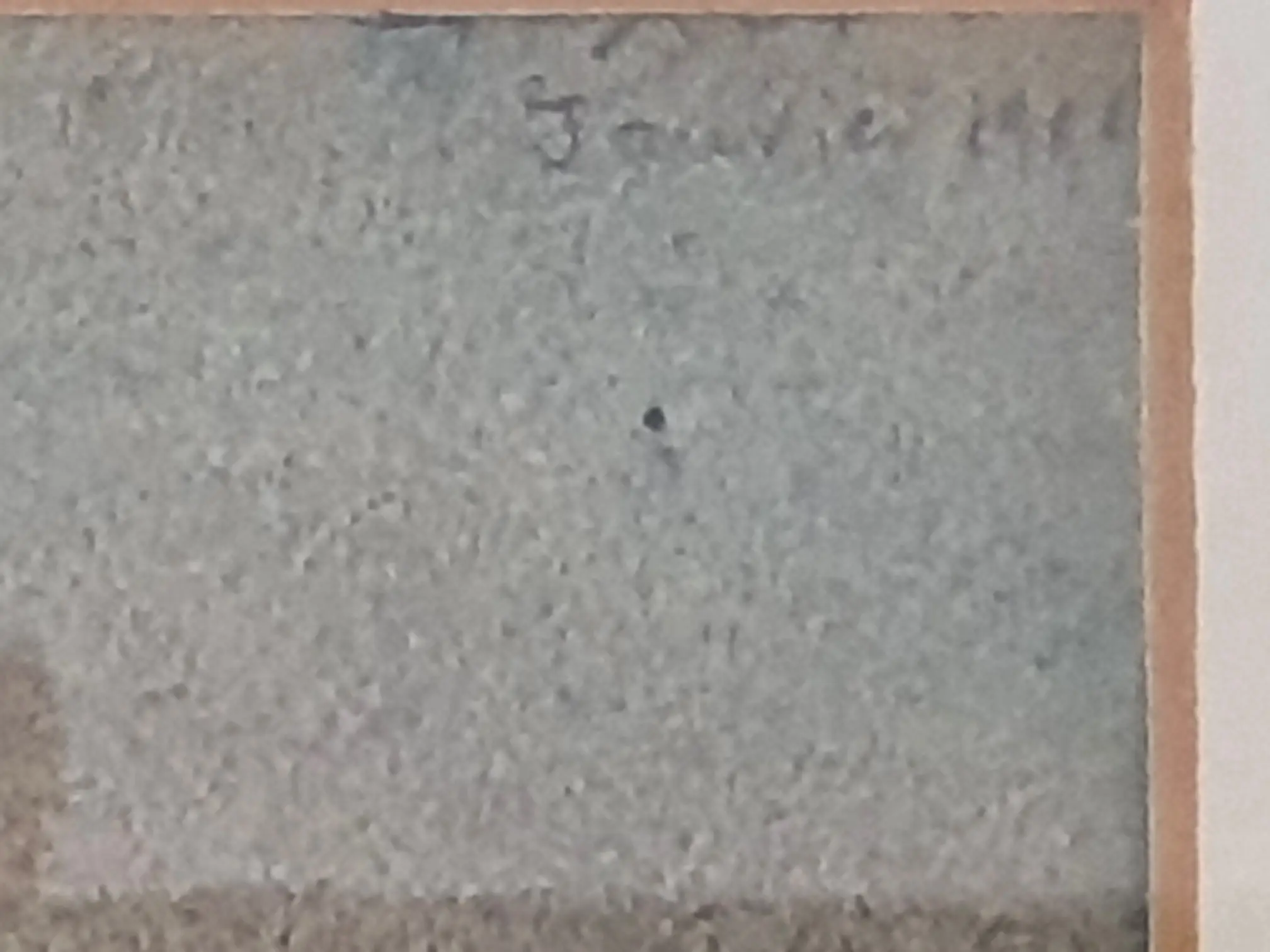 20200801_195439.jpg