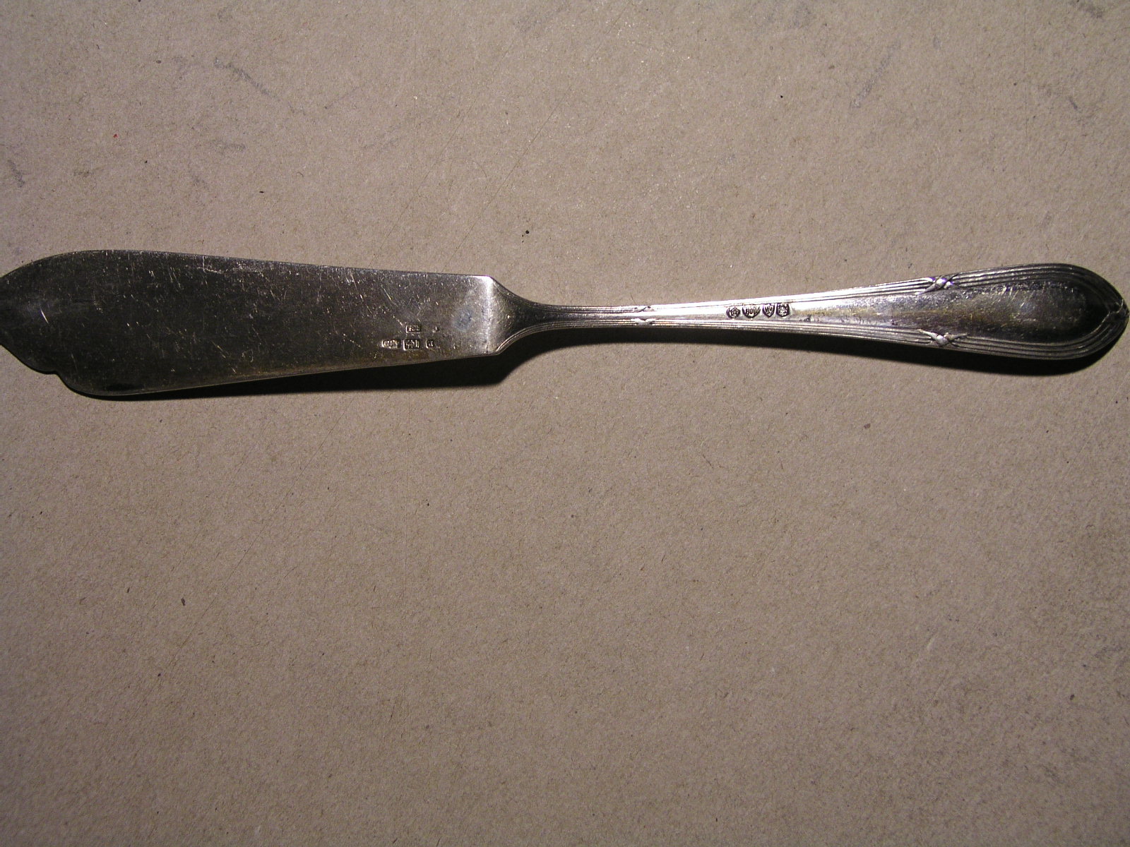 P1010029.JPG