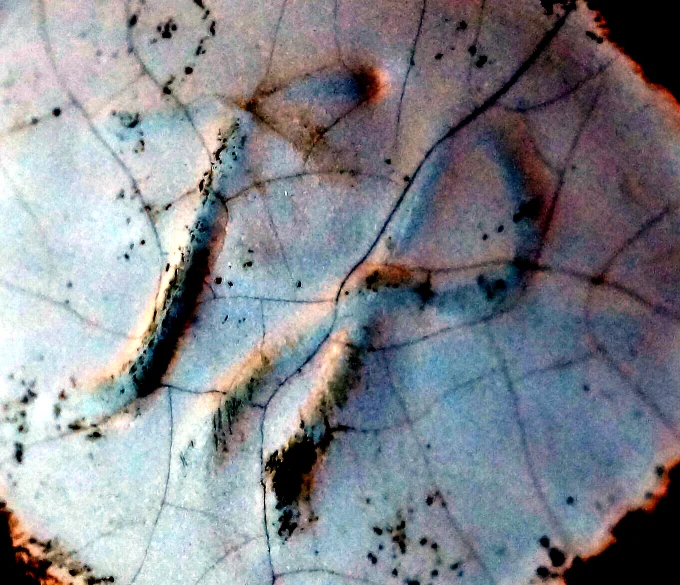 05.JPG