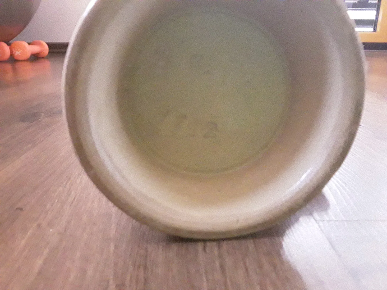 20200917_180501.jpg