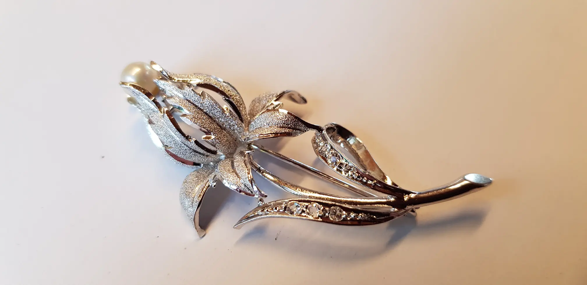 20201004_155659.jpg